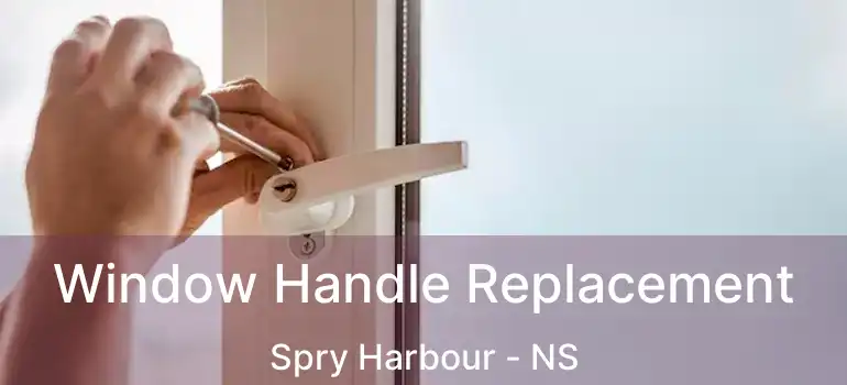  Window Handle Replacement Spry Harbour - NS