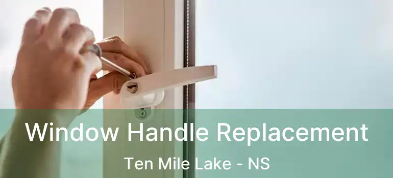  Window Handle Replacement Ten Mile Lake - NS