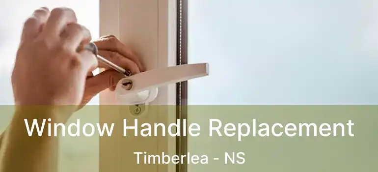  Window Handle Replacement Timberlea - NS