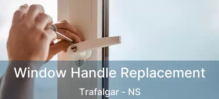  Window Handle Replacement Trafalgar - NS