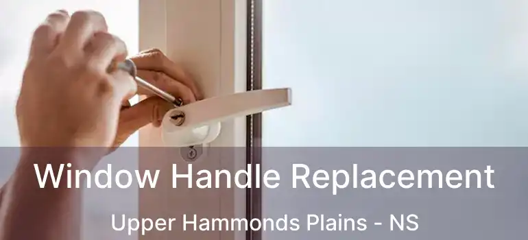  Window Handle Replacement Upper Hammonds Plains - NS