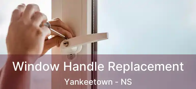  Window Handle Replacement Yankeetown - NS