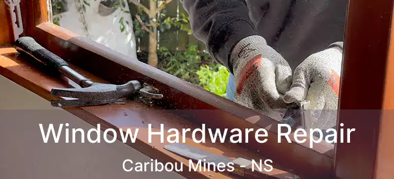  Window Hardware Repair Caribou Mines - NS