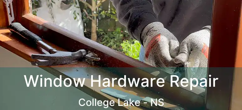  Window Hardware Repair College Lake - NS