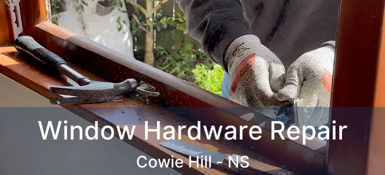  Window Hardware Repair Cowie Hill - NS