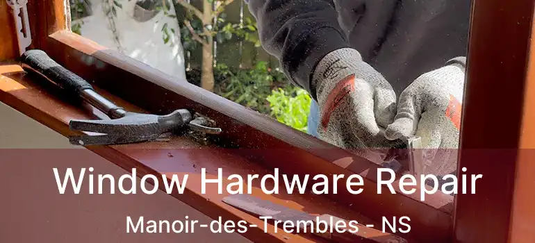  Window Hardware Repair Manoir-des-Trembles - NS