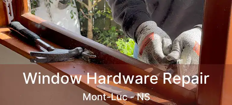  Window Hardware Repair Mont-Luc - NS