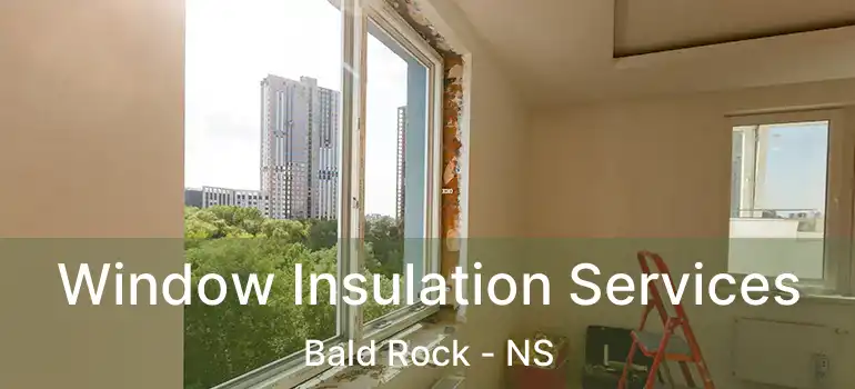  Window Insulation Services Bald Rock - NS