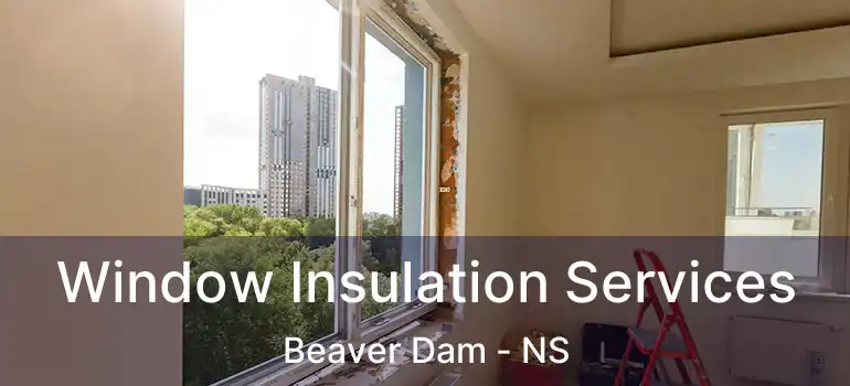  Window Insulation Services Beaver Dam - NS