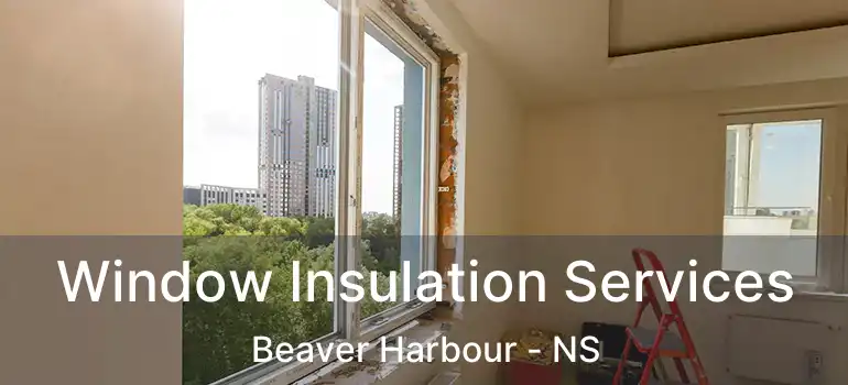  Window Insulation Services Beaver Harbour - NS