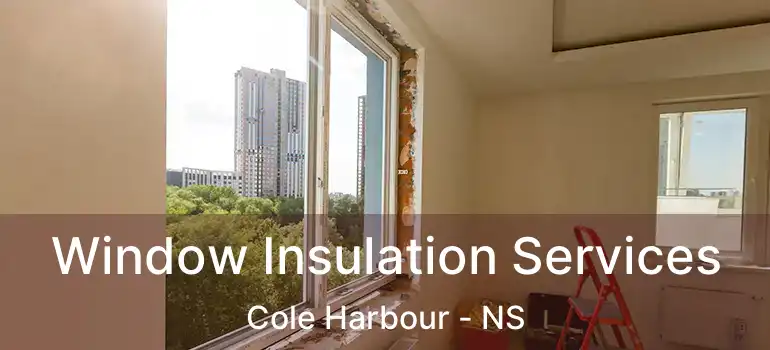  Window Insulation Services Cole Harbour - NS