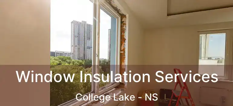  Window Insulation Services College Lake - NS