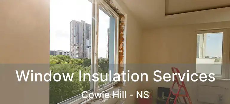  Window Insulation Services Cowie Hill - NS