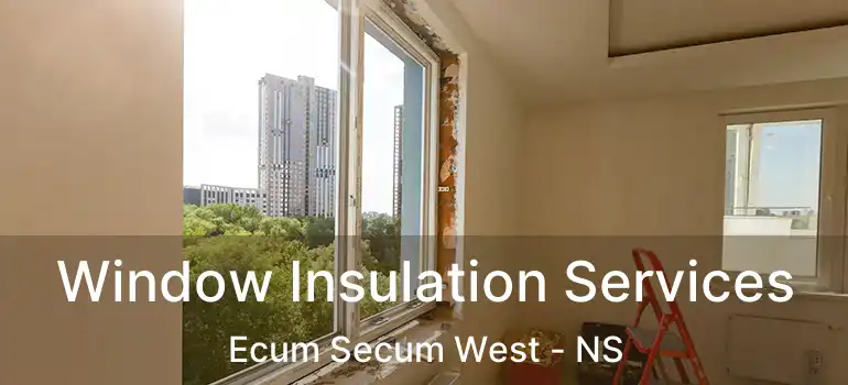  Window Insulation Services Ecum Secum West - NS