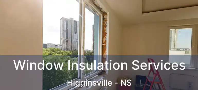  Window Insulation Services Higginsville - NS