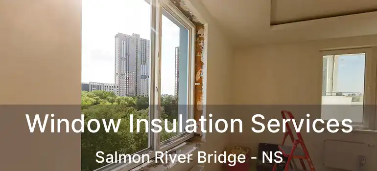  Window Insulation Services Salmon River Bridge - NS