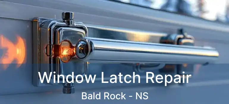  Window Latch Repair Bald Rock - NS