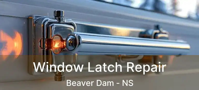  Window Latch Repair Beaver Dam - NS