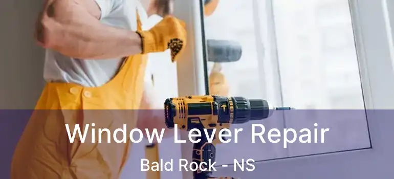  Window Lever Repair Bald Rock - NS