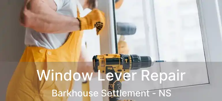  Window Lever Repair Barkhouse Settlement - NS