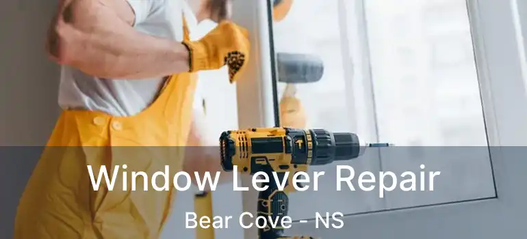  Window Lever Repair Bear Cove - NS