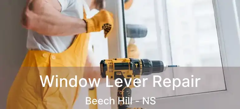  Window Lever Repair Beech Hill - NS