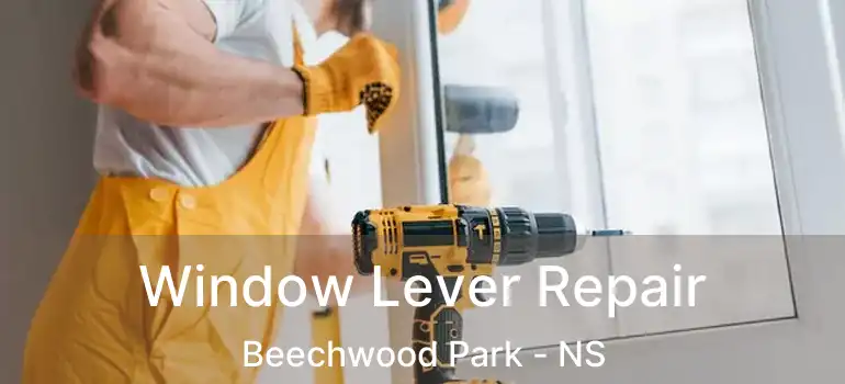  Window Lever Repair Beechwood Park - NS