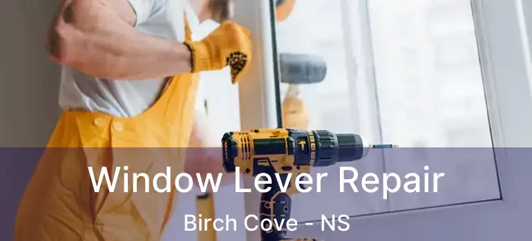  Window Lever Repair Birch Cove - NS