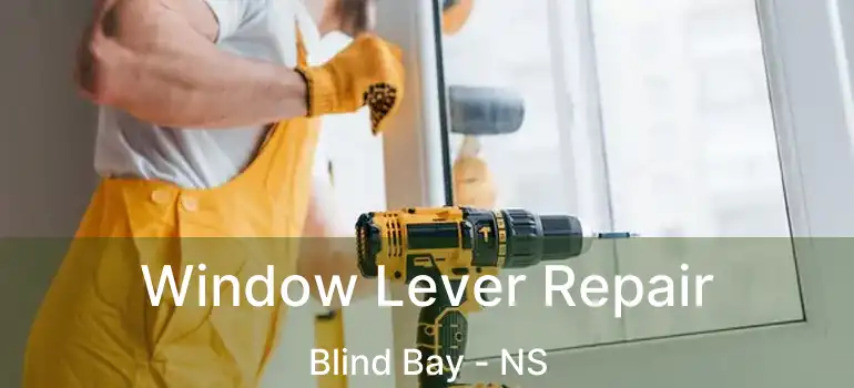  Window Lever Repair Blind Bay - NS