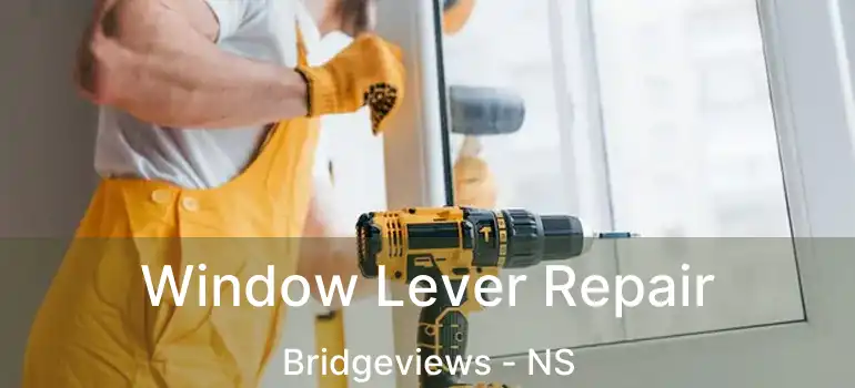  Window Lever Repair Bridgeviews - NS