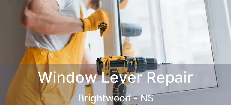  Window Lever Repair Brightwood - NS