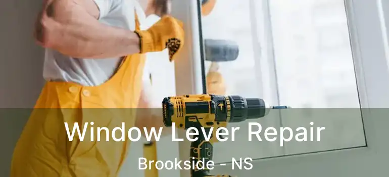  Window Lever Repair Brookside - NS