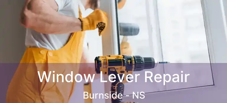  Window Lever Repair Burnside - NS