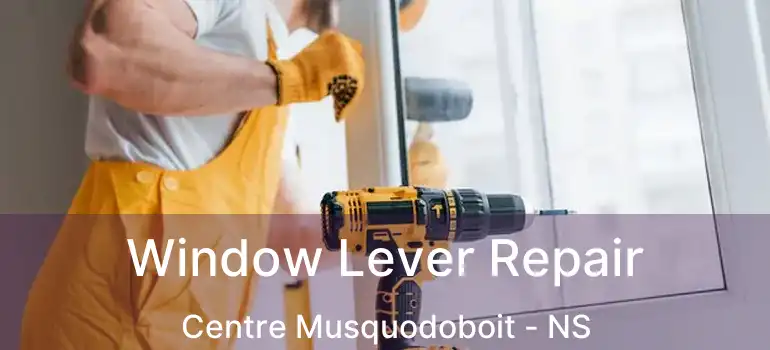  Window Lever Repair Centre Musquodoboit - NS