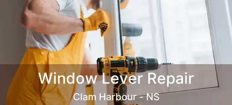  Window Lever Repair Clam Harbour - NS