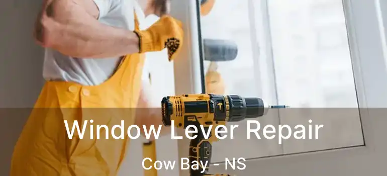  Window Lever Repair Cow Bay - NS