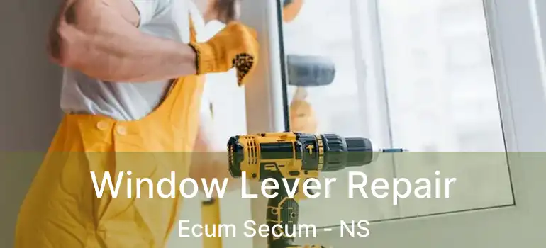  Window Lever Repair Ecum Secum - NS