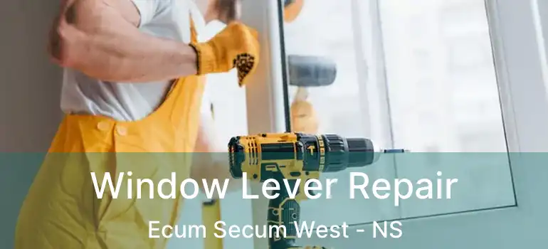  Window Lever Repair Ecum Secum West - NS