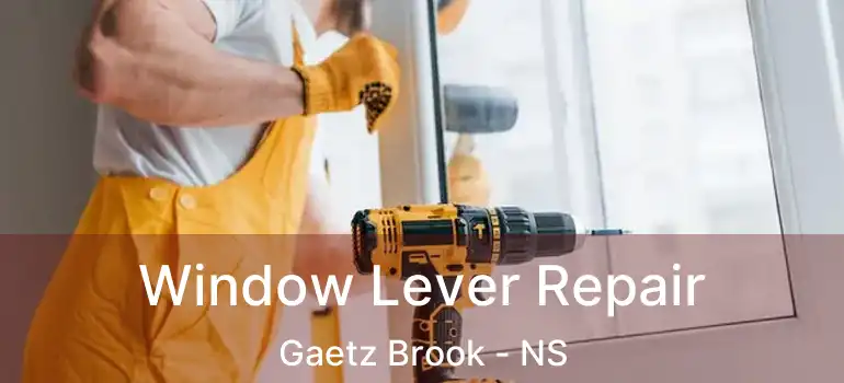  Window Lever Repair Gaetz Brook - NS