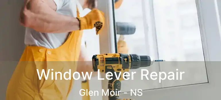  Window Lever Repair Glen Moir - NS