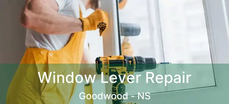  Window Lever Repair Goodwood - NS