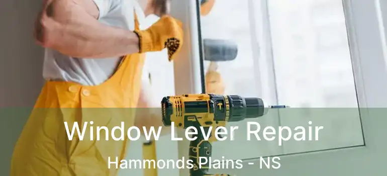  Window Lever Repair Hammonds Plains - NS