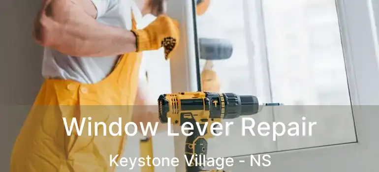  Window Lever Repair Keystone Village - NS