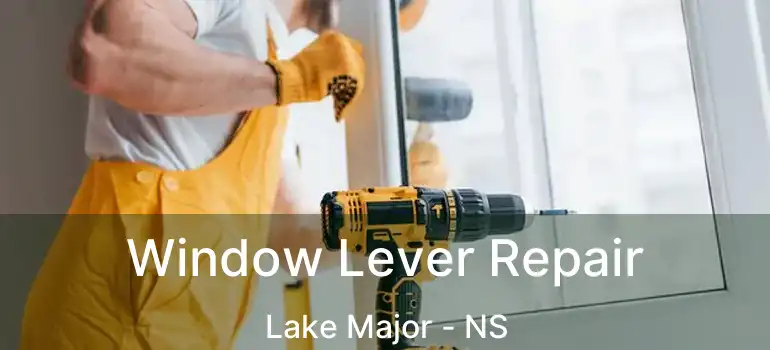  Window Lever Repair Lake Major - NS