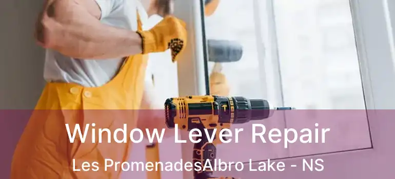  Window Lever Repair Les PromenadesAlbro Lake - NS