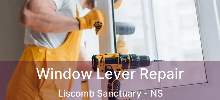  Window Lever Repair Liscomb Sanctuary - NS