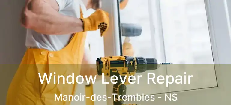  Window Lever Repair Manoir-des-Trembles - NS