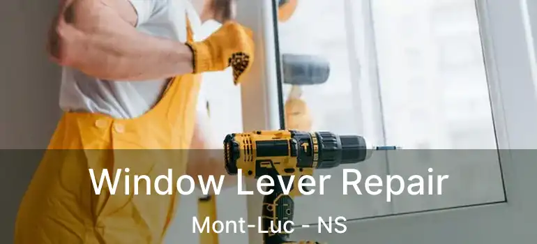  Window Lever Repair Mont-Luc - NS