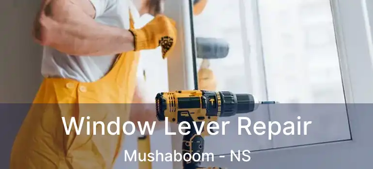  Window Lever Repair Mushaboom - NS