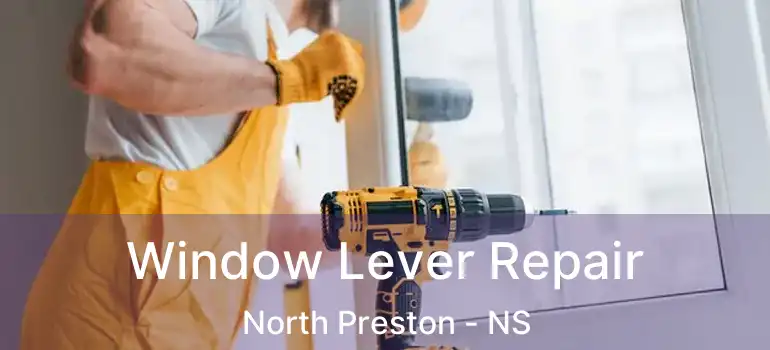  Window Lever Repair North Preston - NS